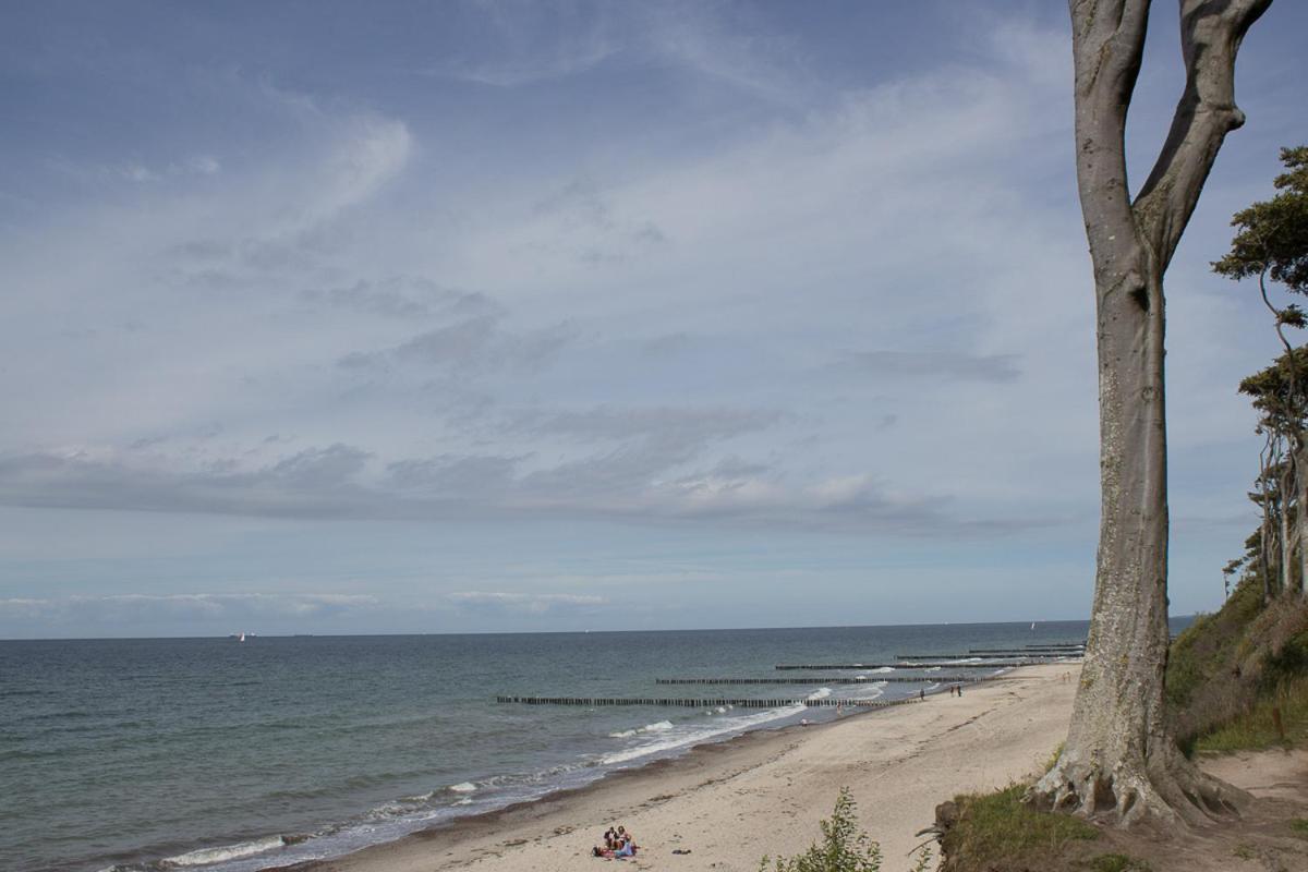 Meerblick Ostseebad Nienhagen Εξωτερικό φωτογραφία